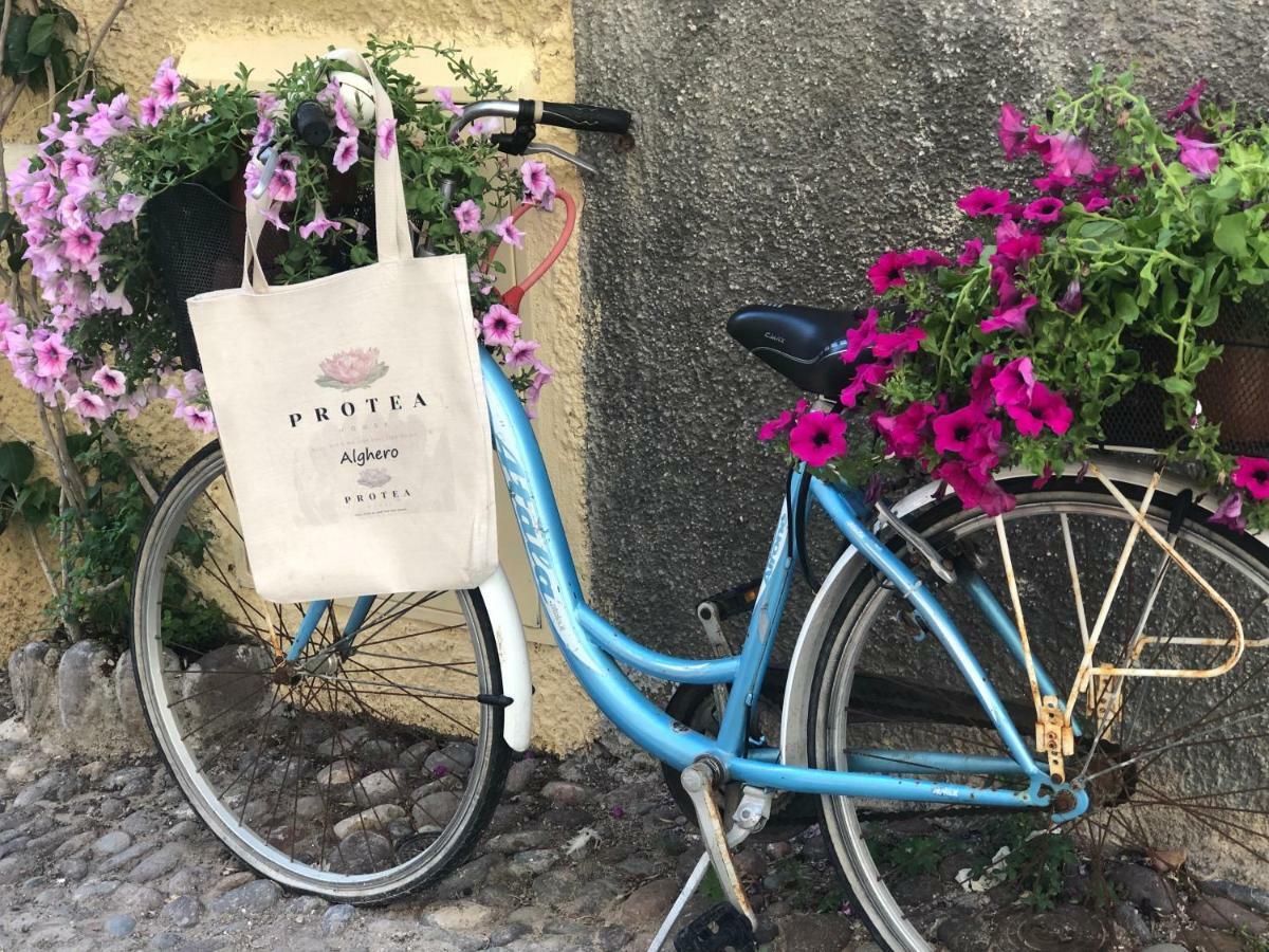 Protea House Lägenhet Alghero Exteriör bild